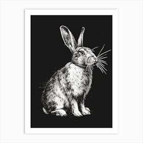 Blanc De Hotot Blockprint Rabbit Illustration 2 Art Print