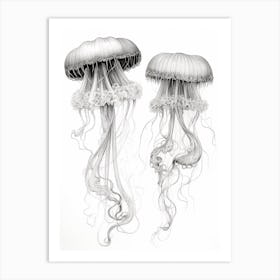 Irukandji Jellyfish Drawing 5 Art Print