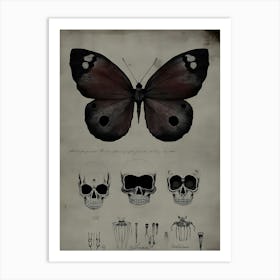 Dark Gothic Skulls And Butterflies Art Print