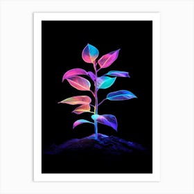 Plant On Black Background Art Print