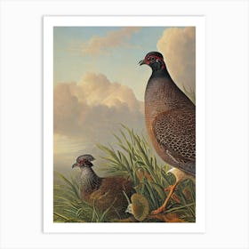 Grouse Haeckel Style Vintage Illustration Bird Art Print