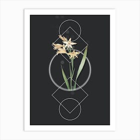 Vintage Gladiolus Cuspidatus Botanical with Geometric Line Motif and Dot Pattern n.0337 Art Print