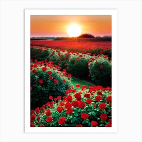 Red Roses At Sunset 1 Art Print