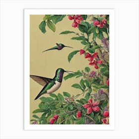 Hummingbird Haeckel Style Vintage Illustration Bird Art Print