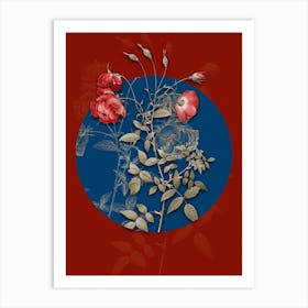 Vintage Botanical Red Rose on Circle Blue on Red n.0190 Art Print