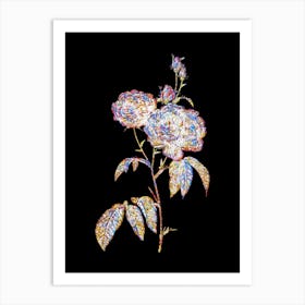 Stained Glass Purple Roses Mosaic Botanical Illustration on Black n.0015 Art Print