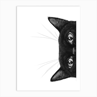 Black Cat Ii Art Print