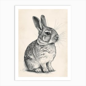 Chinchilla Blockprint Rabbit Illustration 8 Art Print
