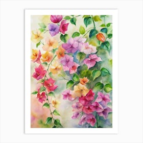 6 Bougainvillea Vines In Multiple Colors Art Print