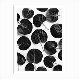 Black Leaves Art Print