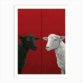 Black Sheep And White Sheep Art Print