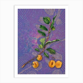 Vintage Apricot Botanical Illustration on Veri Peri Art Print