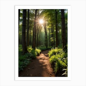 Sunrise In The Forest 3 Art Print