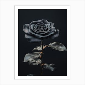 Black Rose 13 Art Print