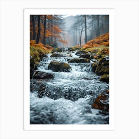 Autumn Stream In The Forest Art Print