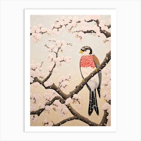 Bird Illustration American Kestrel 3 Art Print