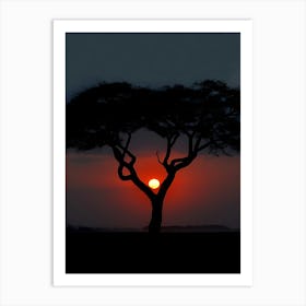 Acacia Tree At Sunset Art Print