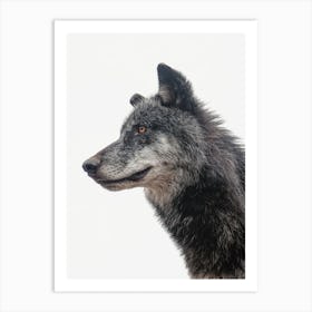 Black Wolf Art Print