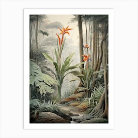 Vintage Jungle Botanical Illustration Bird Of Paradise 1 Art Print
