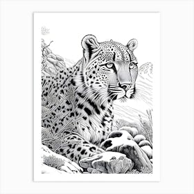 Snowleopard Art Print