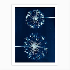 Dandelions Art Print