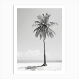 Palm Tree On The Beach 3 Art Print