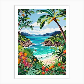Trunk Bay Beach, Us Virgin Islands, Matisse And Rousseau Style 3 Art Print