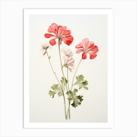 Pressed Flower Botanical Art Geranium 4 Art Print