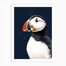 Clive The Puffin On Midnight Blue Art Print