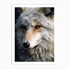 Gray Fox Close Up Realism 2 Art Print