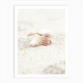 Shell In Sand_2262133 Art Print