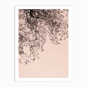 Branches against the sky Art Print