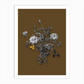 Vintage Dwarf Rosebush Black and White Gold Leaf Floral Art on Coffee Brown Art Print