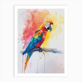 Parrot Colourful Watercolour 1 Art Print