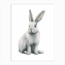 English Silver Rabbit Kids Illustration 4 Art Print