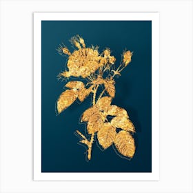 Vintage Harsh Downy Rose Botanical in Gold on Teal Blue n.0031 Art Print