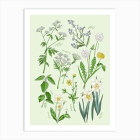 Spring Flora Green & Cream Art Print