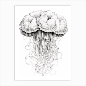 Lions Mane Jellyfish Drawing4 Art Print