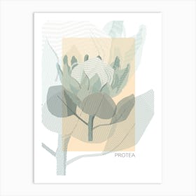 Protea Art Print