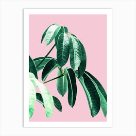 Green Leaves On Pink Background Art Print