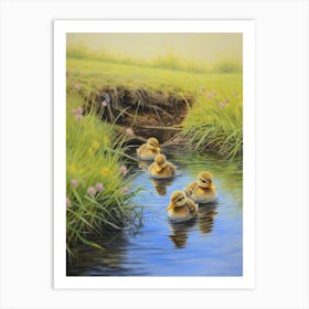 Ducklings Swimming Down The River 3 Art Print
