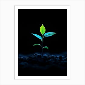 Small Green Plant Art Print