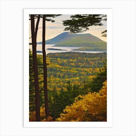 Acadia National Park United States Of America Vintage Poster Art Print
