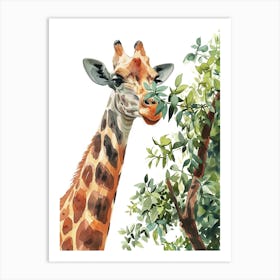 Giraffe Eating Leaves Watercolour 1 Art Print