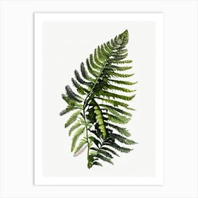 Ebony Spleenwort Watercolour Art Print