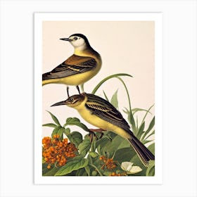Lark James Audubon Vintage Style Bird Art Print