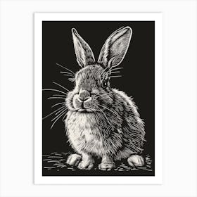 Florida White Blockprint Rabbit Illustration 3 Art Print