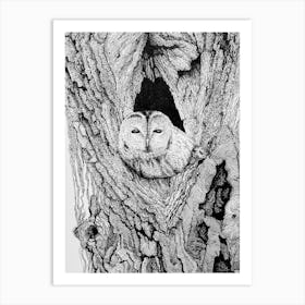 Owl in the hollow Art Print