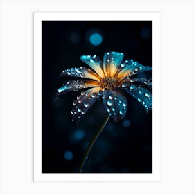 Water Droplets On A Flower 1 Art Print