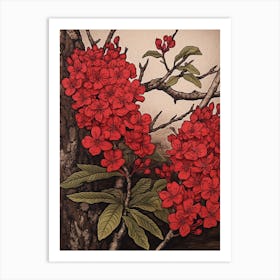 Hanakotoba Crape Myrtle 3 Vintage Botanical Woodblock Art Print